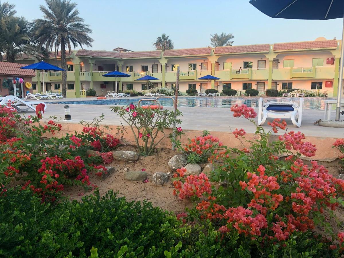 Flamingo Beach Hotel Umm al-Quwain Ngoại thất bức ảnh